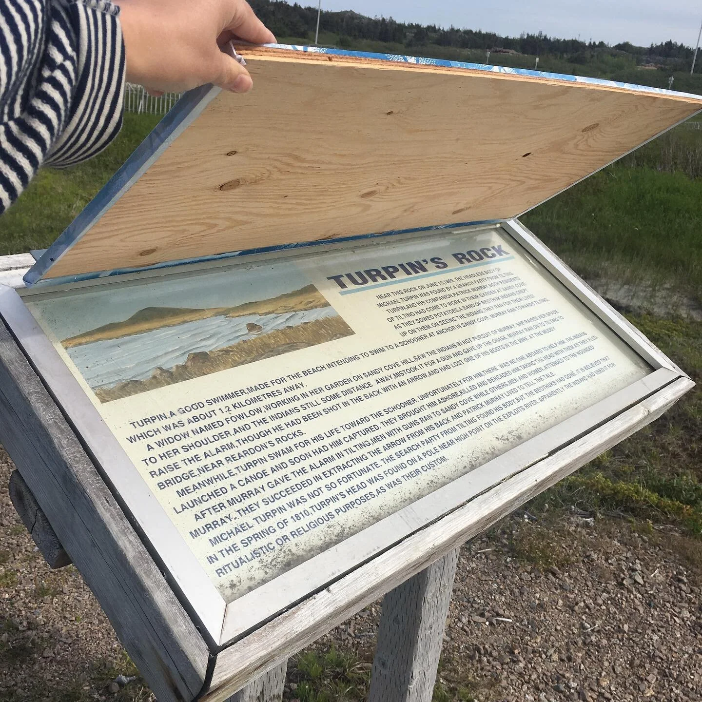 reinterpretation panel 4.jpg