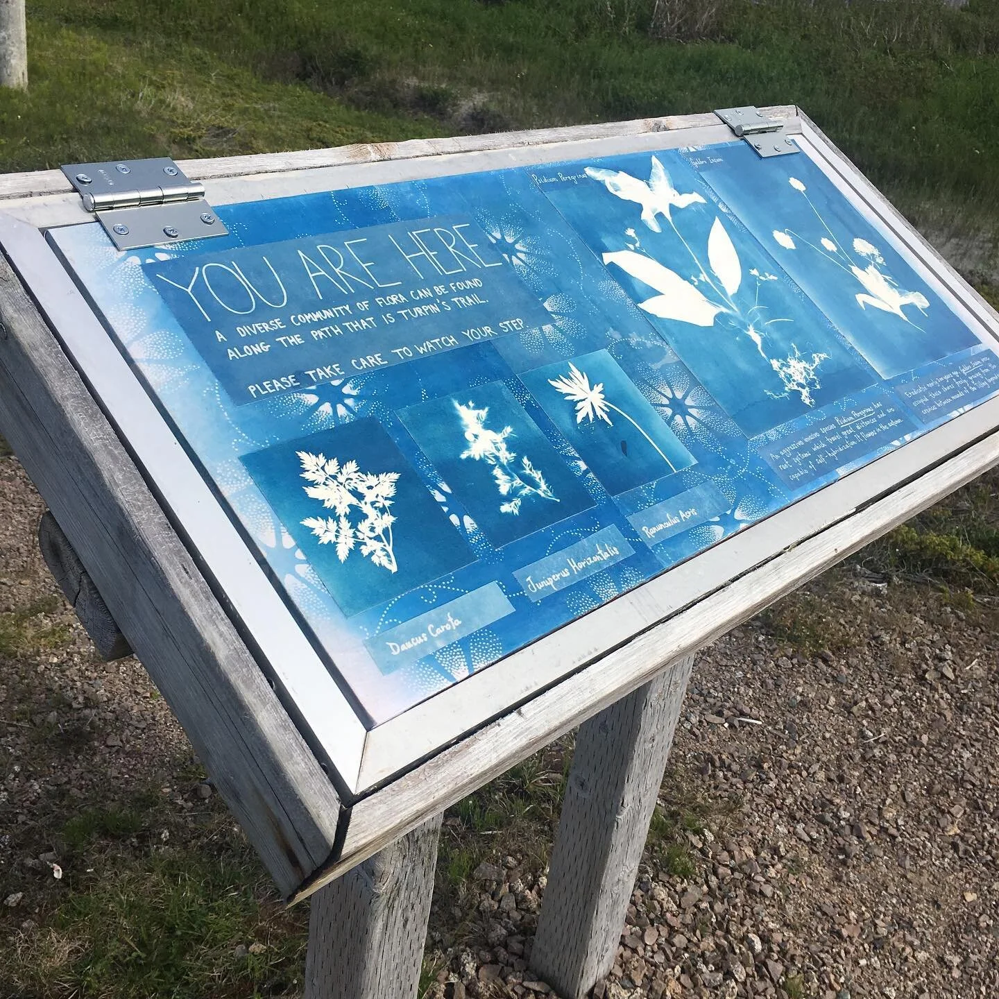 reinterpretation panel.jpg