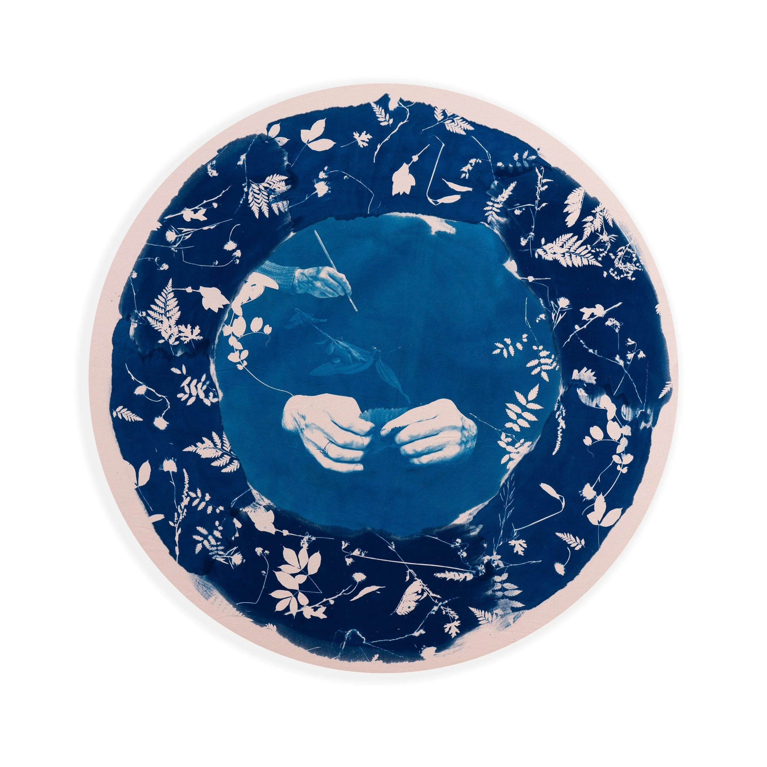 Lessons in Cyclical Growth.jpg