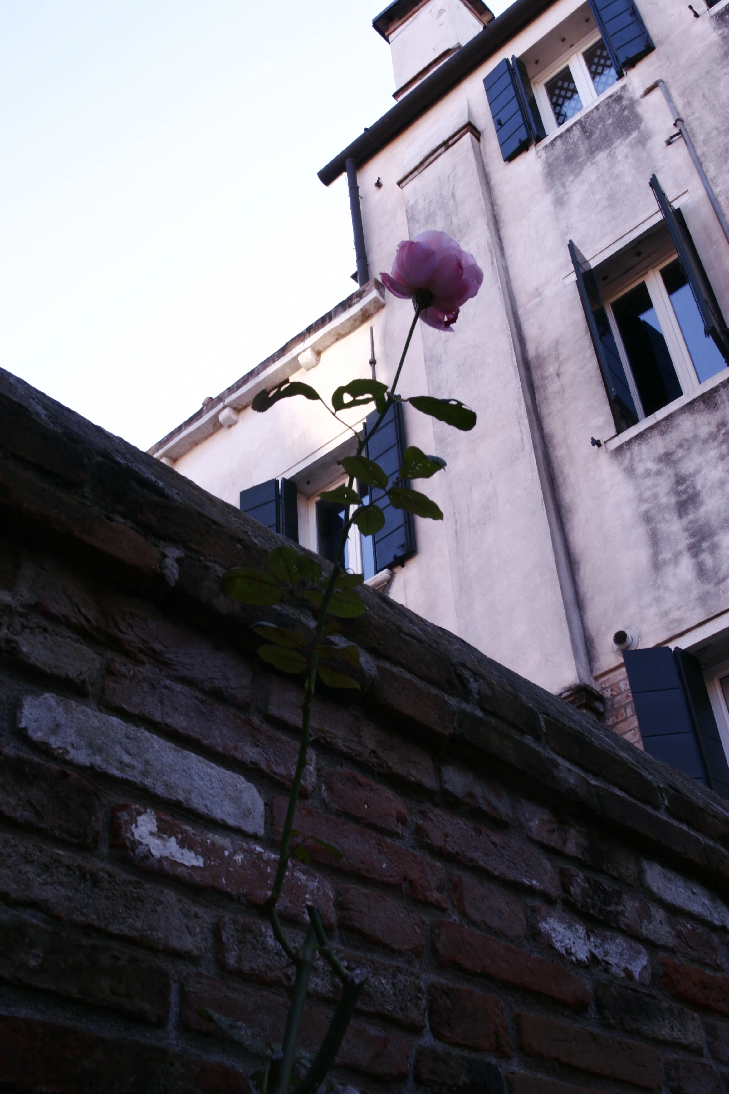 2016-10-18 17.41.51.jpg