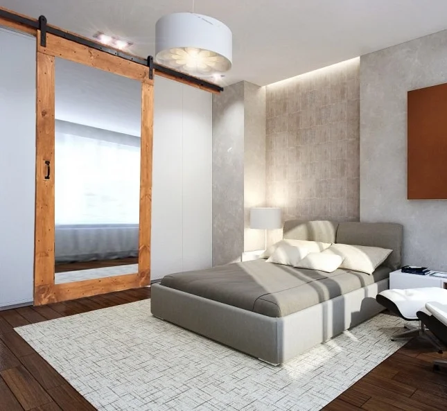 MirrorBarnDoor copy.jpg