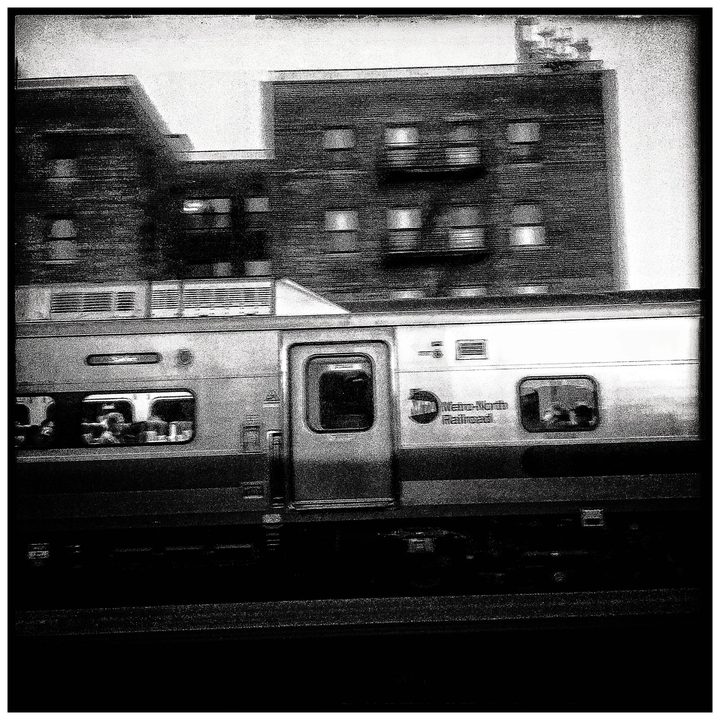 IMG_3929.jpeg