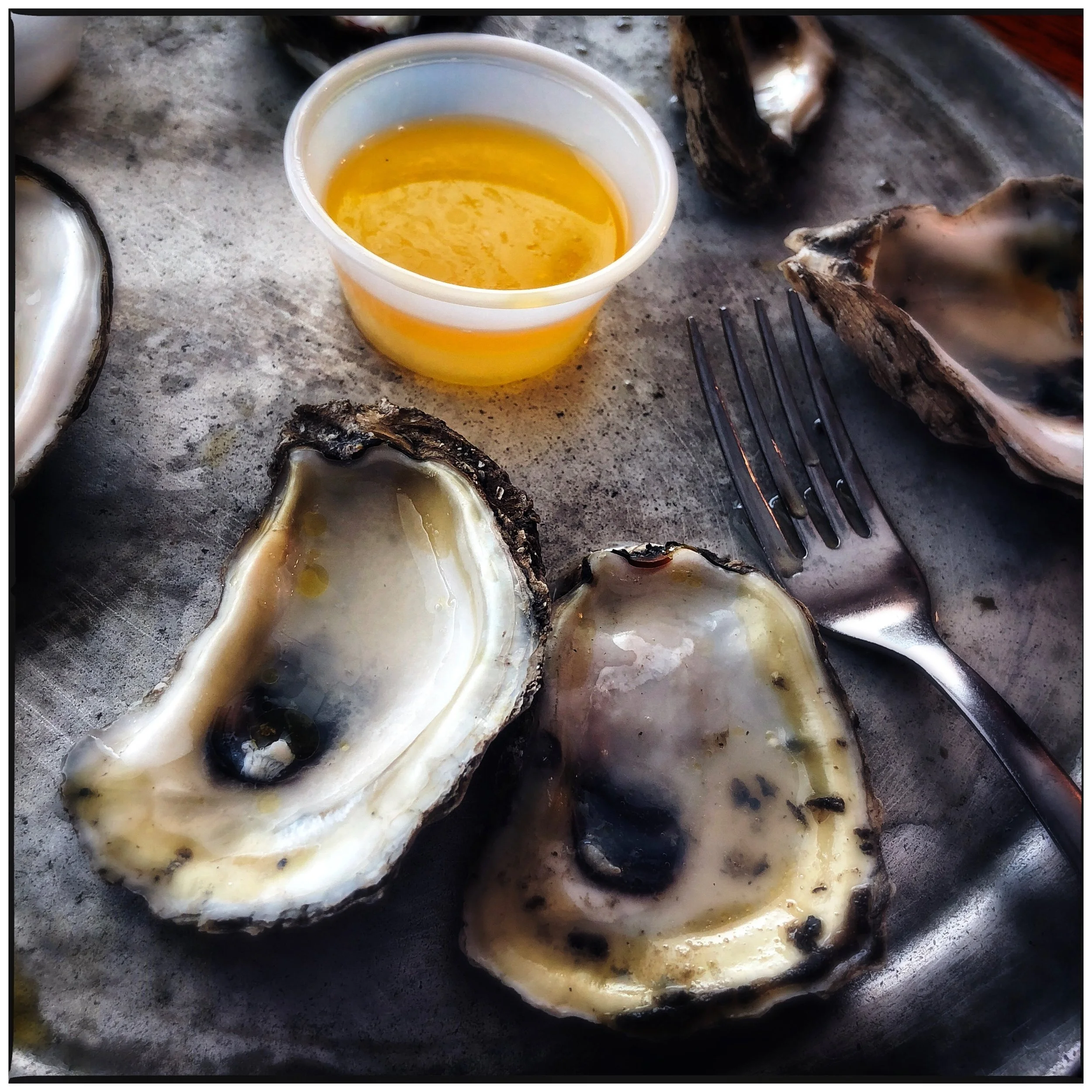 Oysters