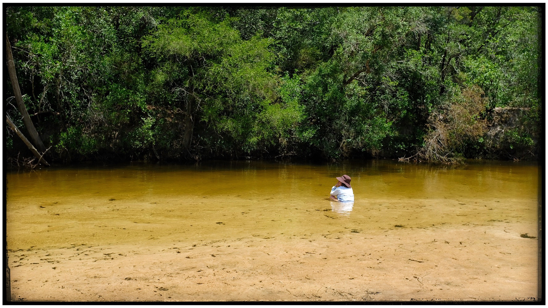 Coldwater creek in NWFlorida