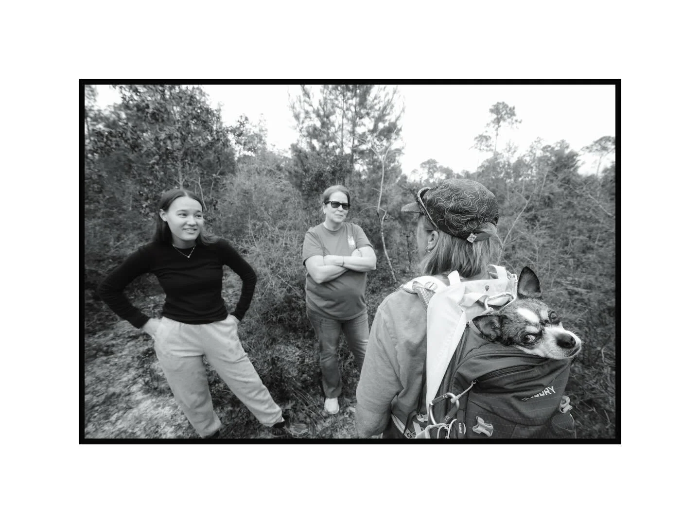 A dogs life. Snug as a bug.