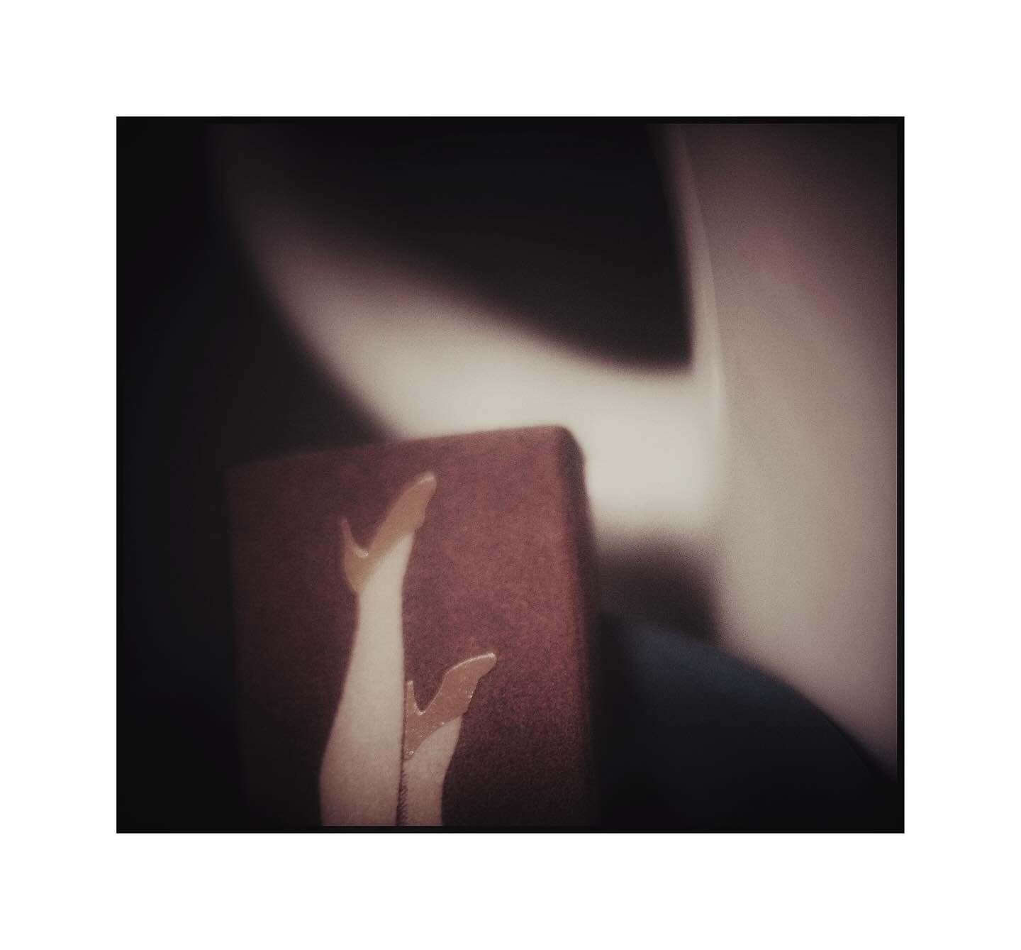 Morning Coffee 
@slowlyshirleyny