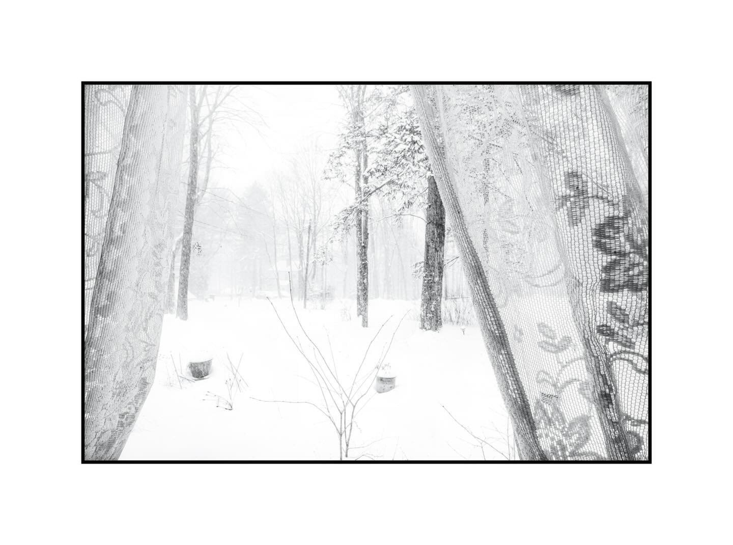 Snow day. #HudsonRiverValley #NewYork