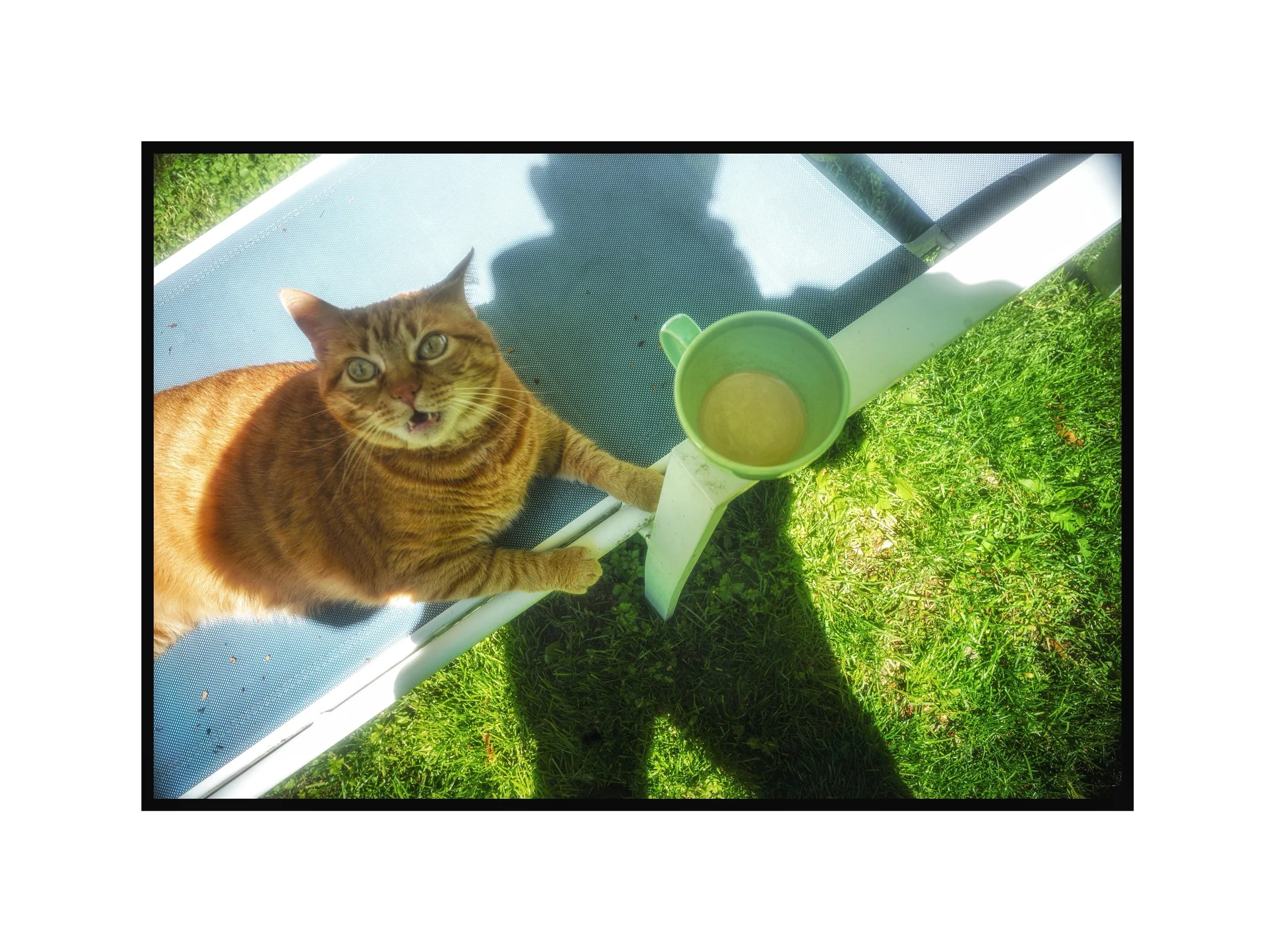 Morning #Coffee with a friend.