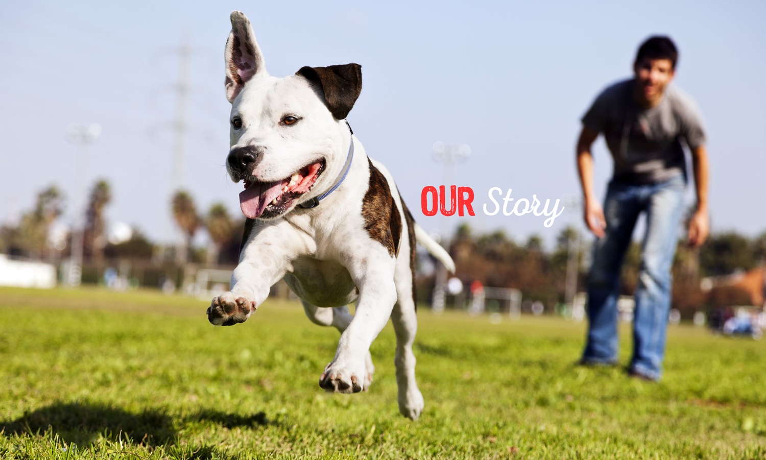 our-story-banner.png