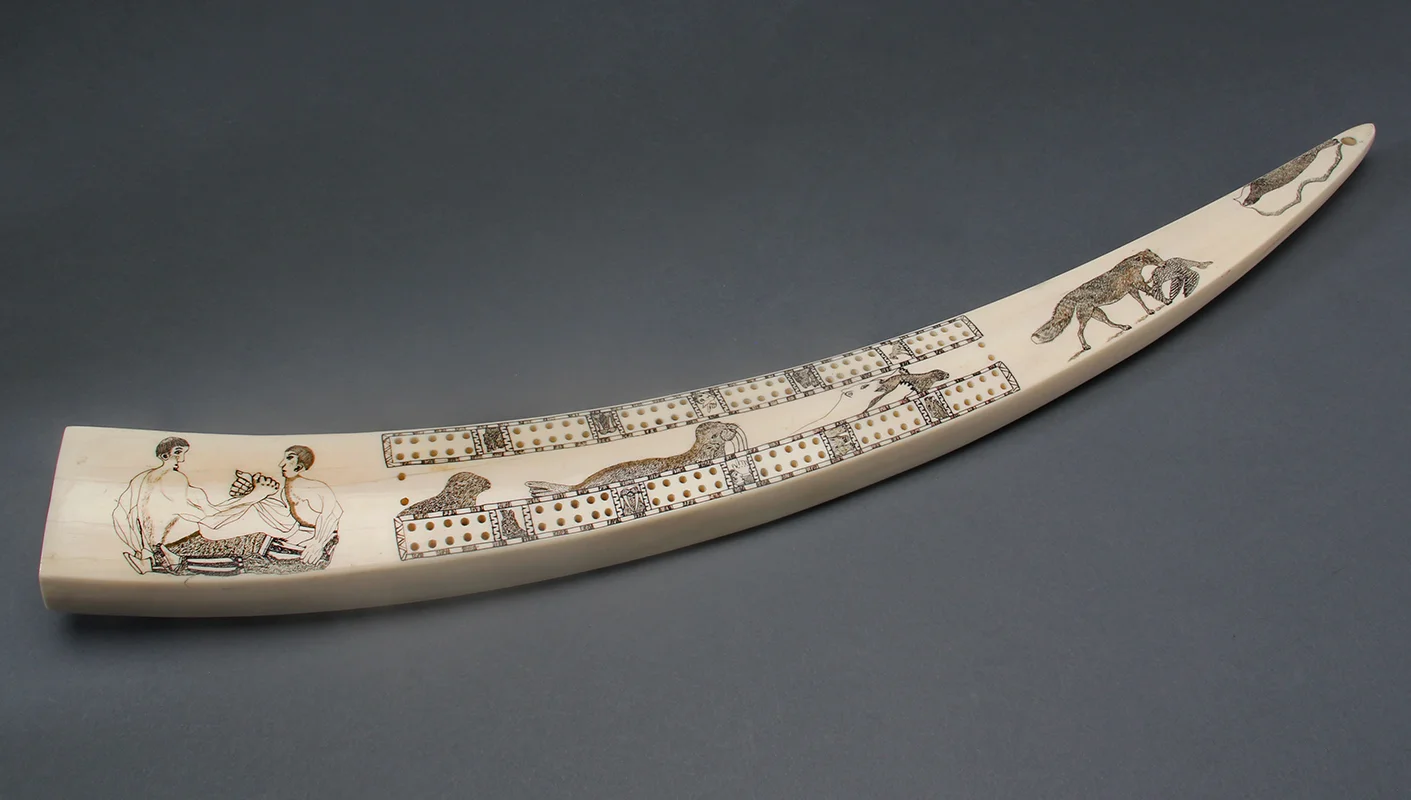 Alaskan Eskimo Walrus Ivory Cribbage Board #8043