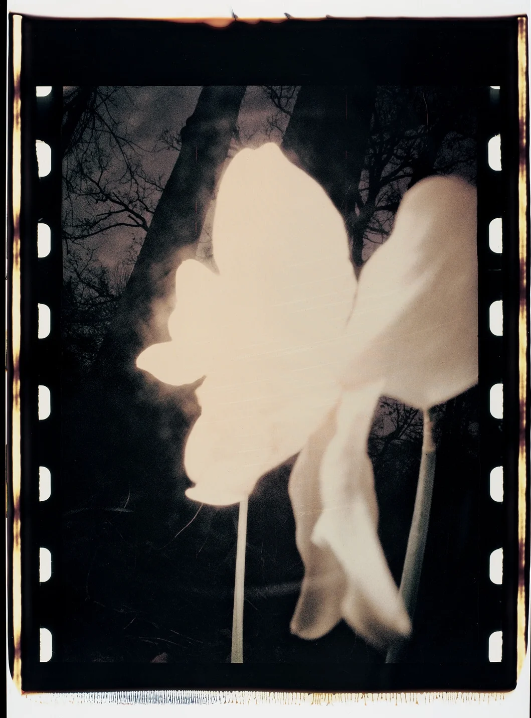 Visions of Enarc