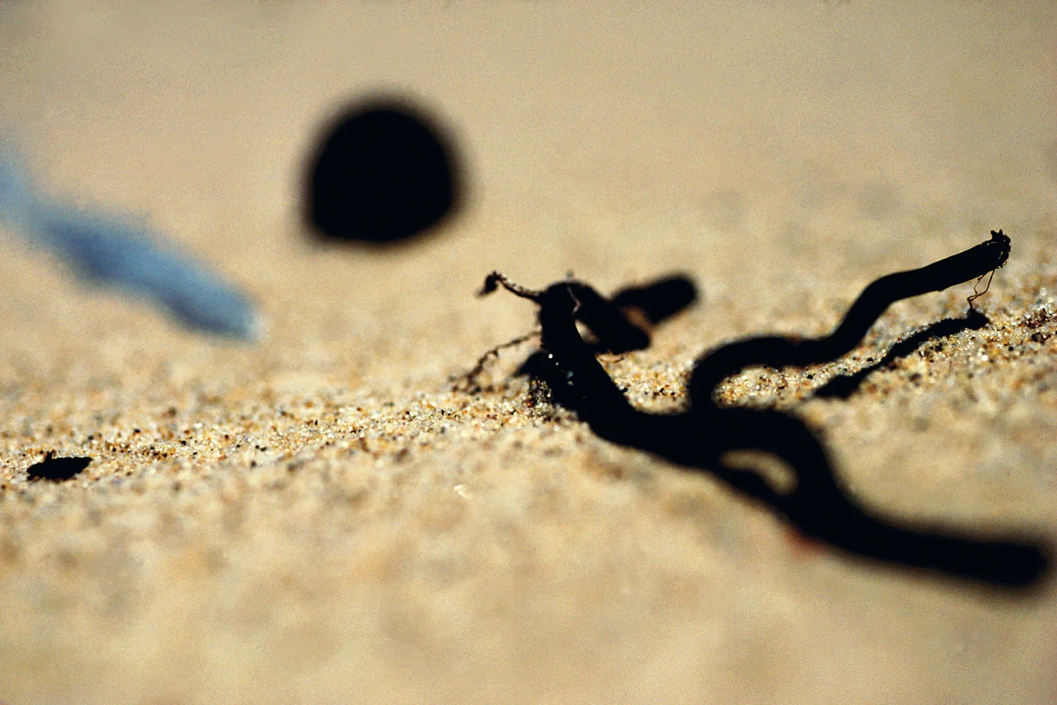 Sand Findings