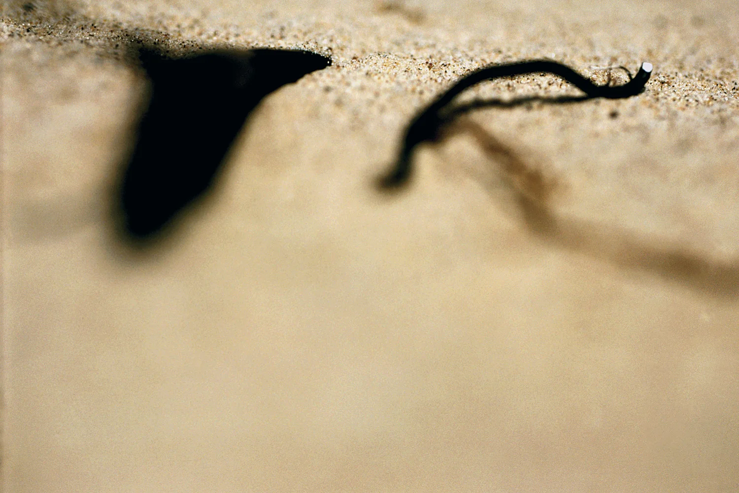 Sand Findings
