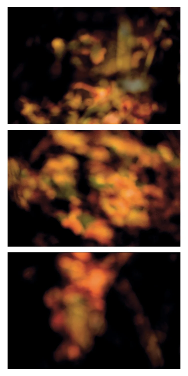 Coloma to Covert: Sandwich (triptych)