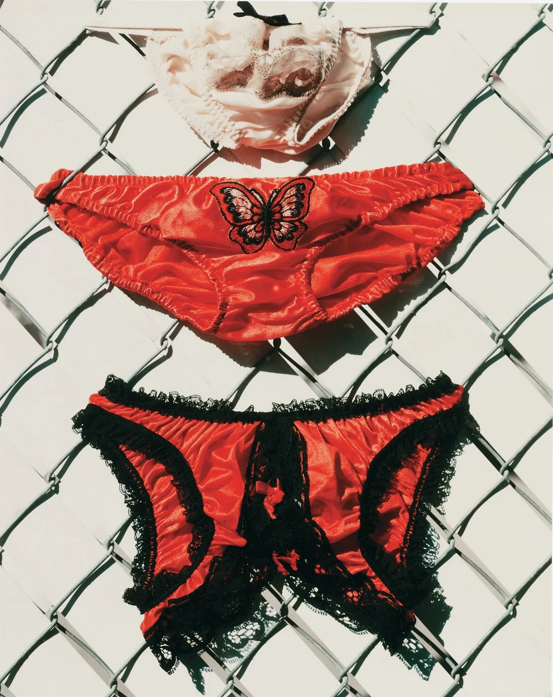 On the Fence