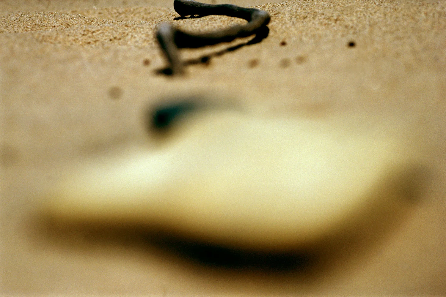 Sand Findings