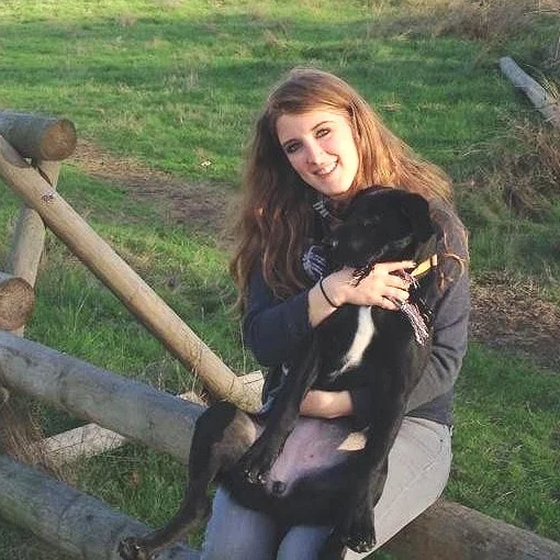 Lisa M. -Employee since february 2013 -Private training and Group class instructor -Favorite Dog BReeds: Bernese Mountain Dog -Personal Pets: data, a rottweiler/lab x
