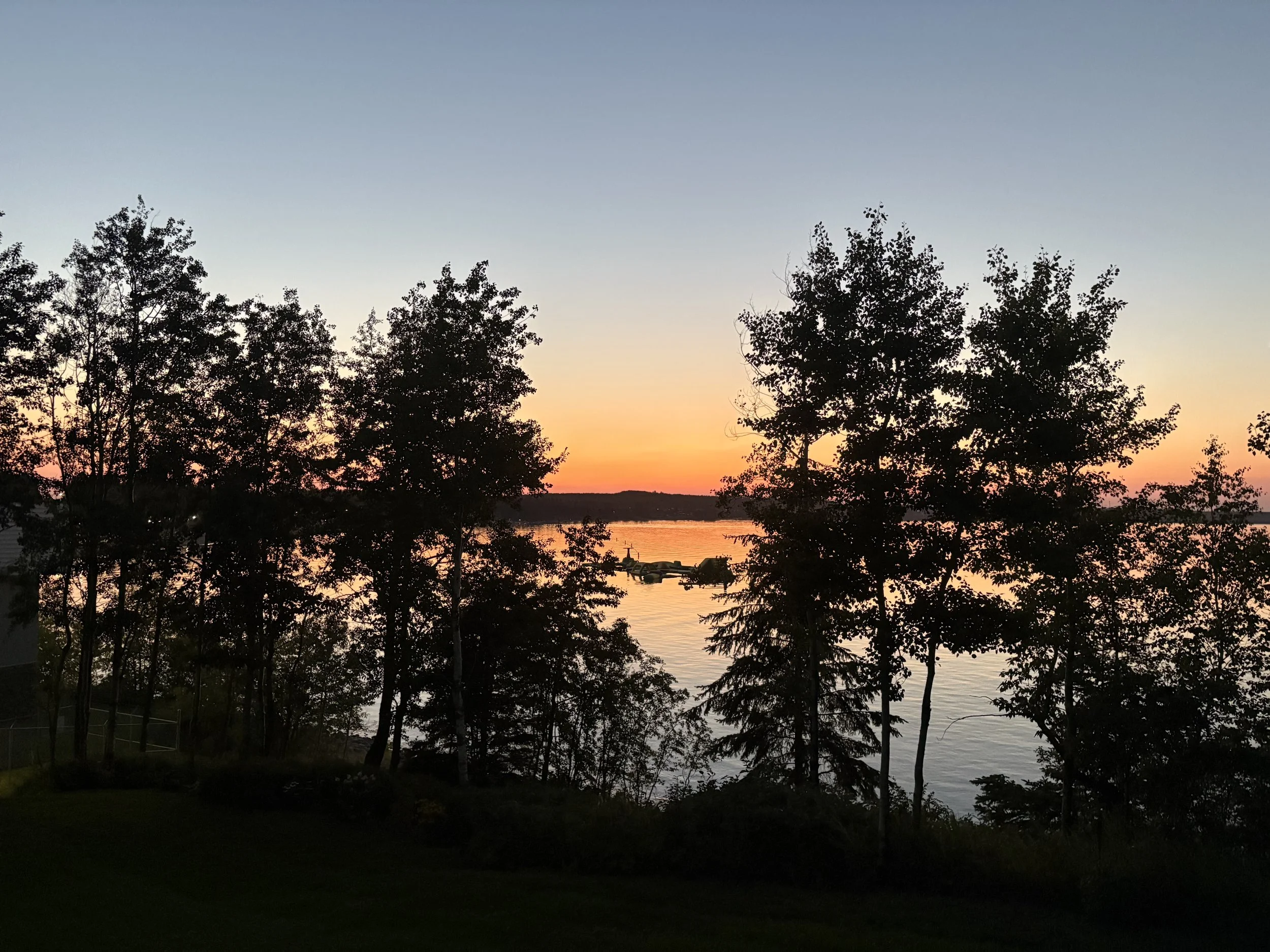 IMG_2387.jpeg