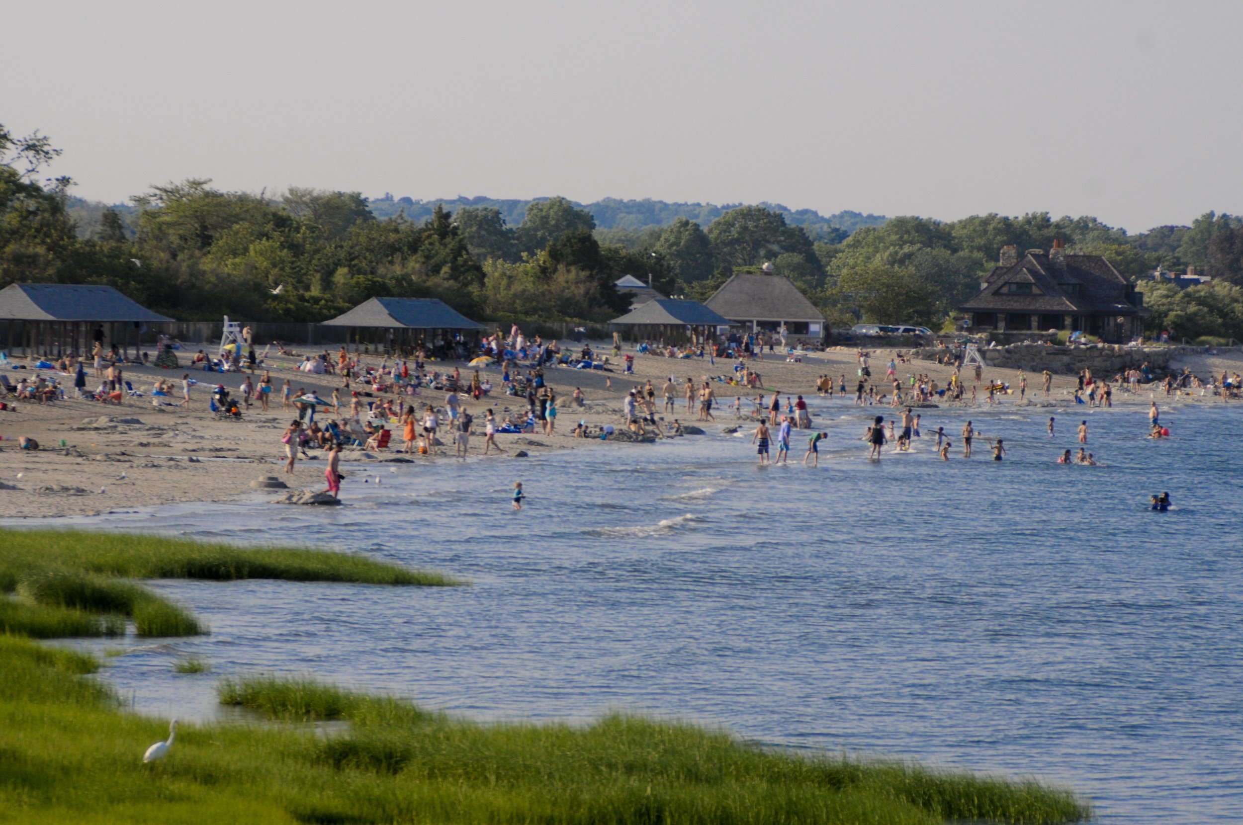 Greenwich Point Conservancy