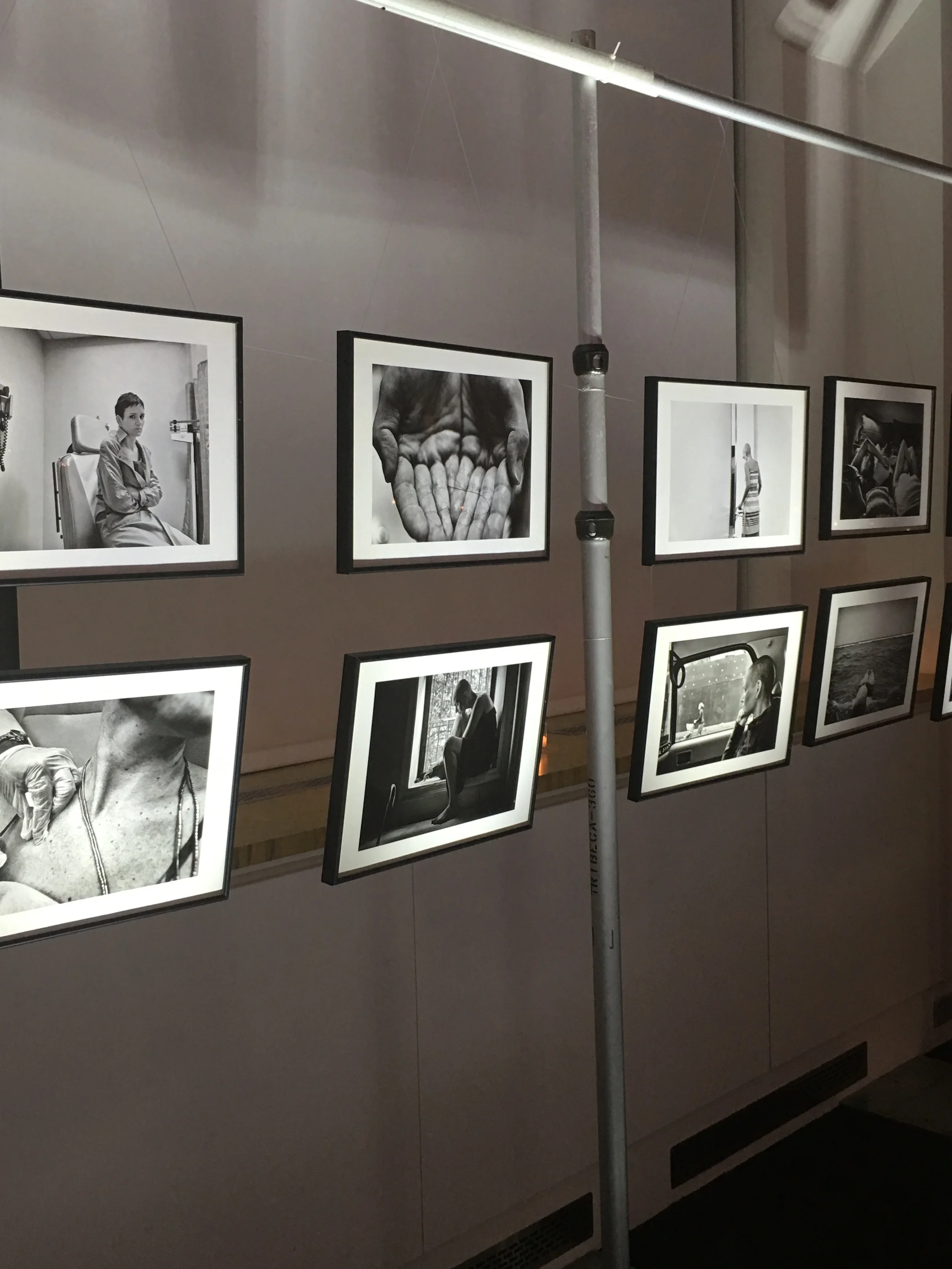 Art for Auction, YSC doing it big.