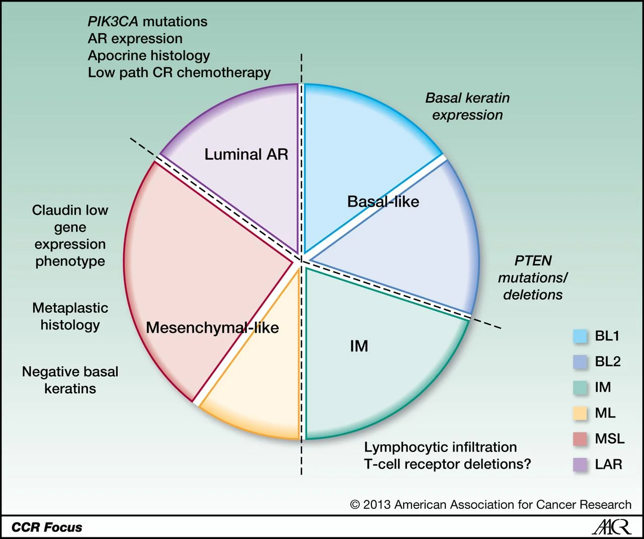 Here is the basic pie chart of Triple Negative Breast Cancer Subsets provided by Clinical Cancer Research AA Journals.