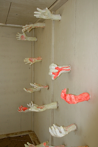 Pavillion Hands1.jpg