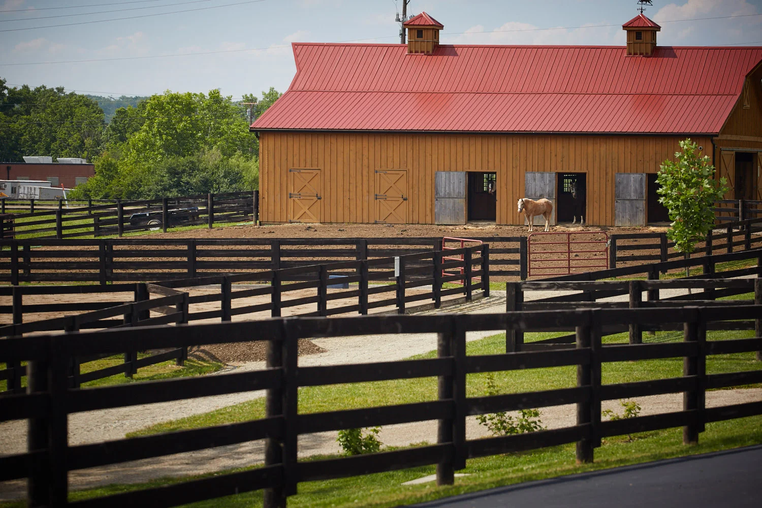 Canopy-Creek-Farm-Barn.jpg