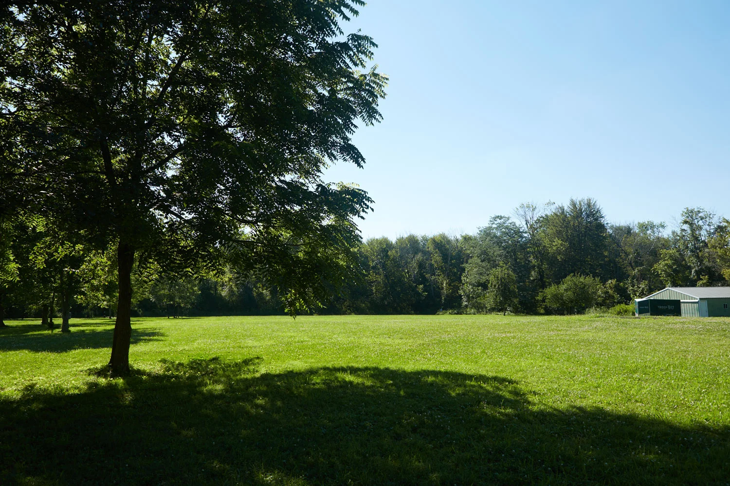 Location number 2. Would you pick this open shade area and how would you pose 10 people?