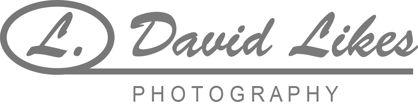 Landen Ohio Portrait Photographer | L David Likes