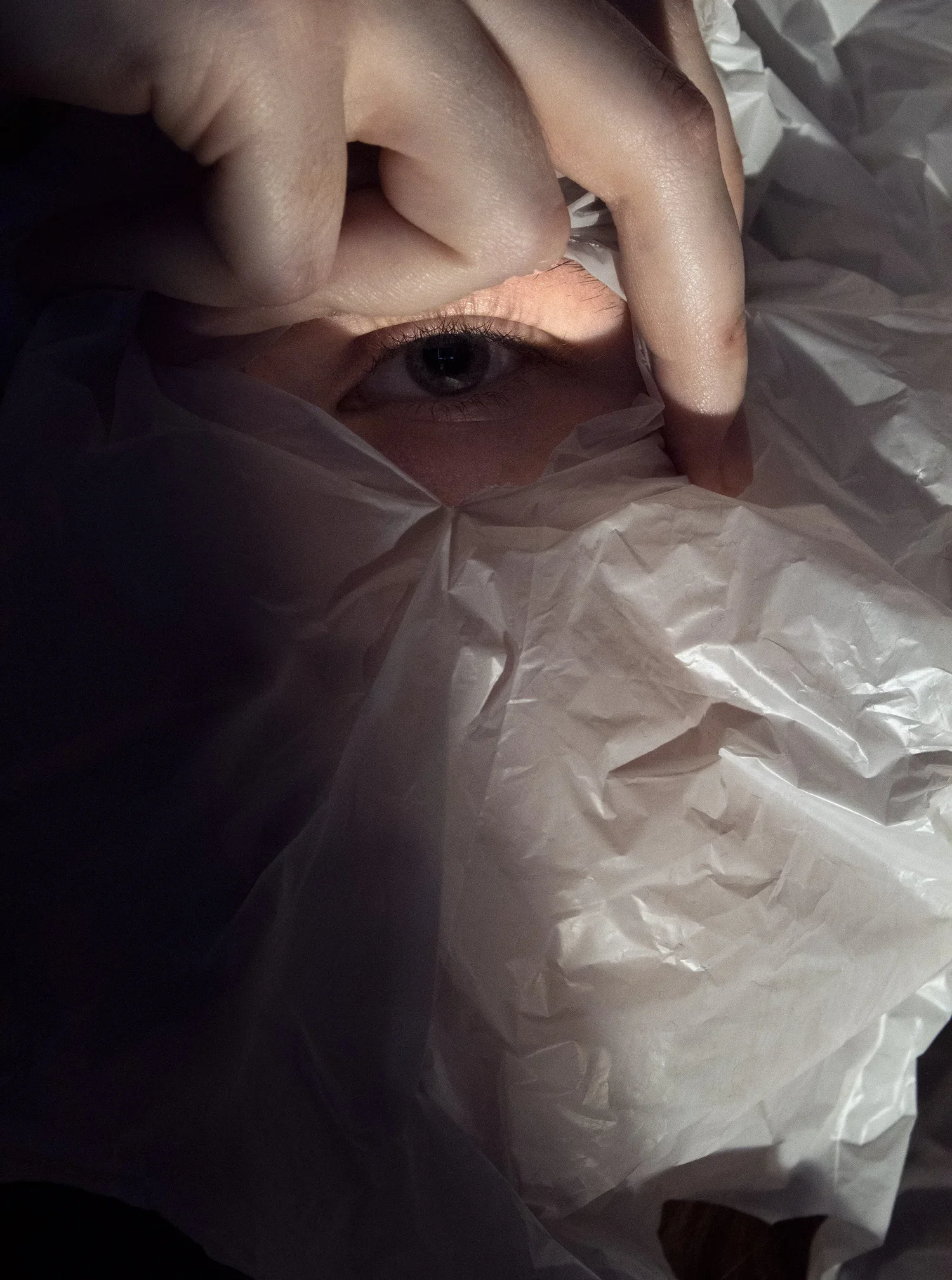 Haley, Photography in the Digital Age (MassArt), Digital Photo, Archival Inkjet Print, 2021 Haley made images based on her anxiety caused by the COVID-19 pandemic. She turned 20 just as the pandemic began, and she felt she wasn’t able to fully appr