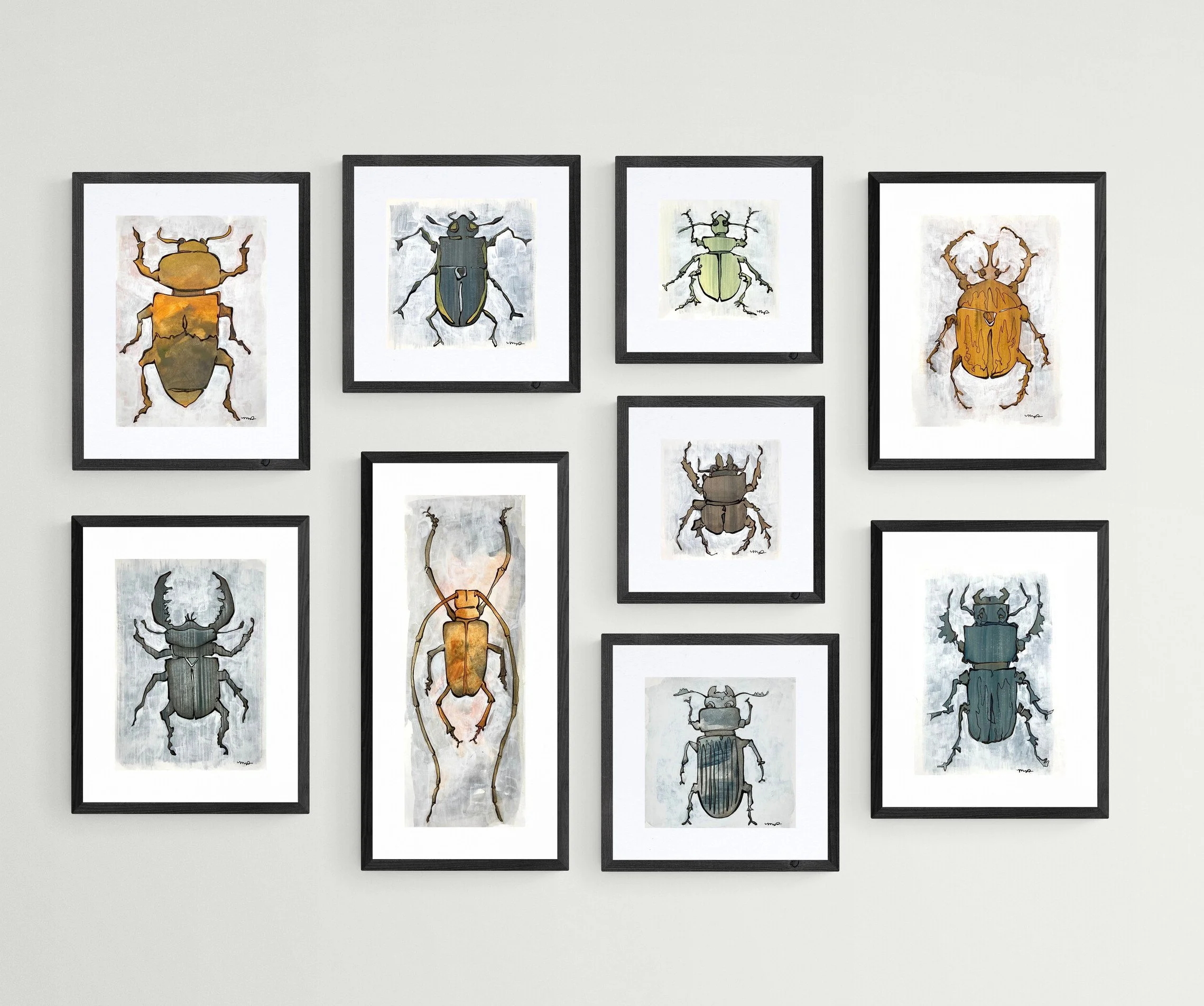 Assorted Beetles