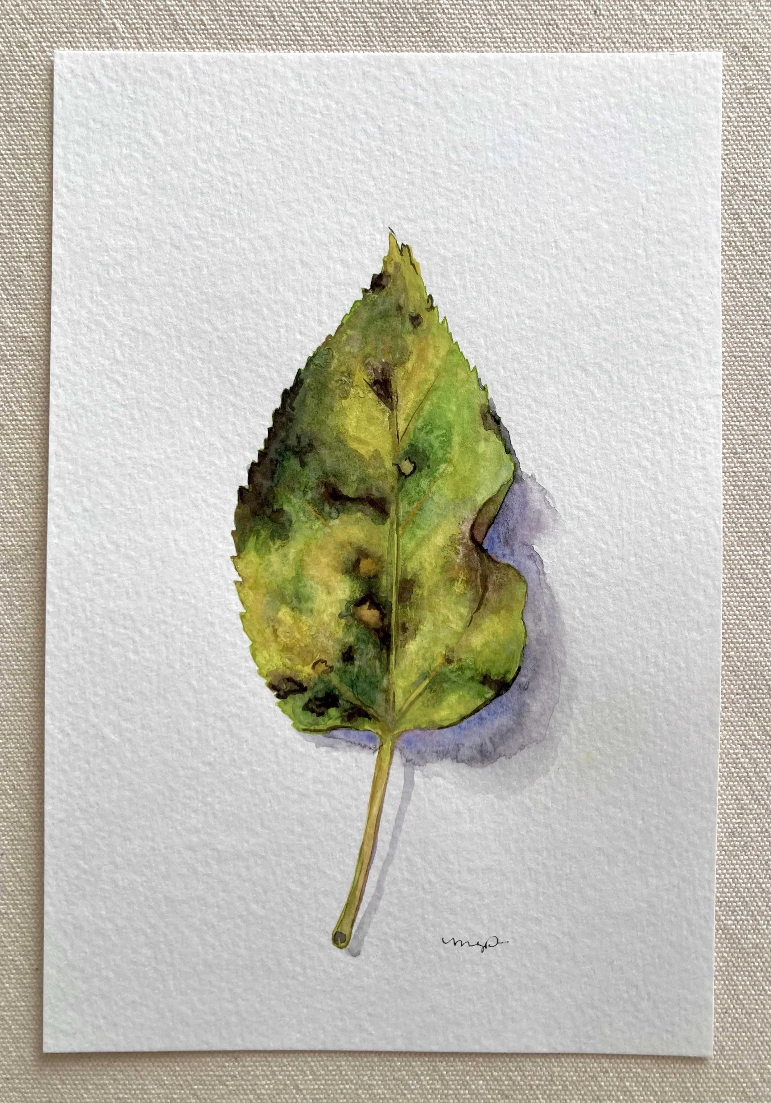Gouache Leaf on Paper 3.jpeg