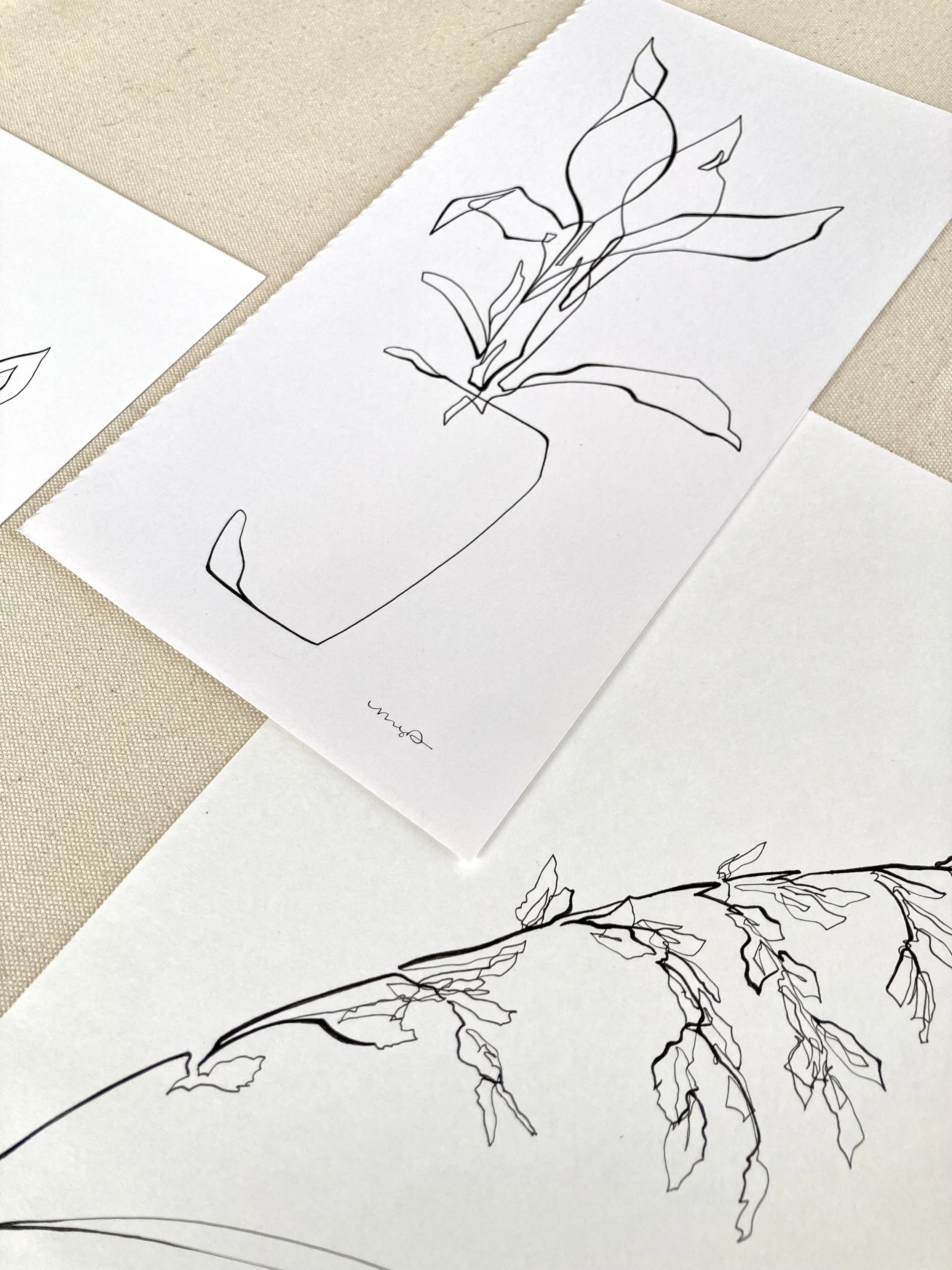 Black and White Floral Drawing Set Large - Detail.jpeg