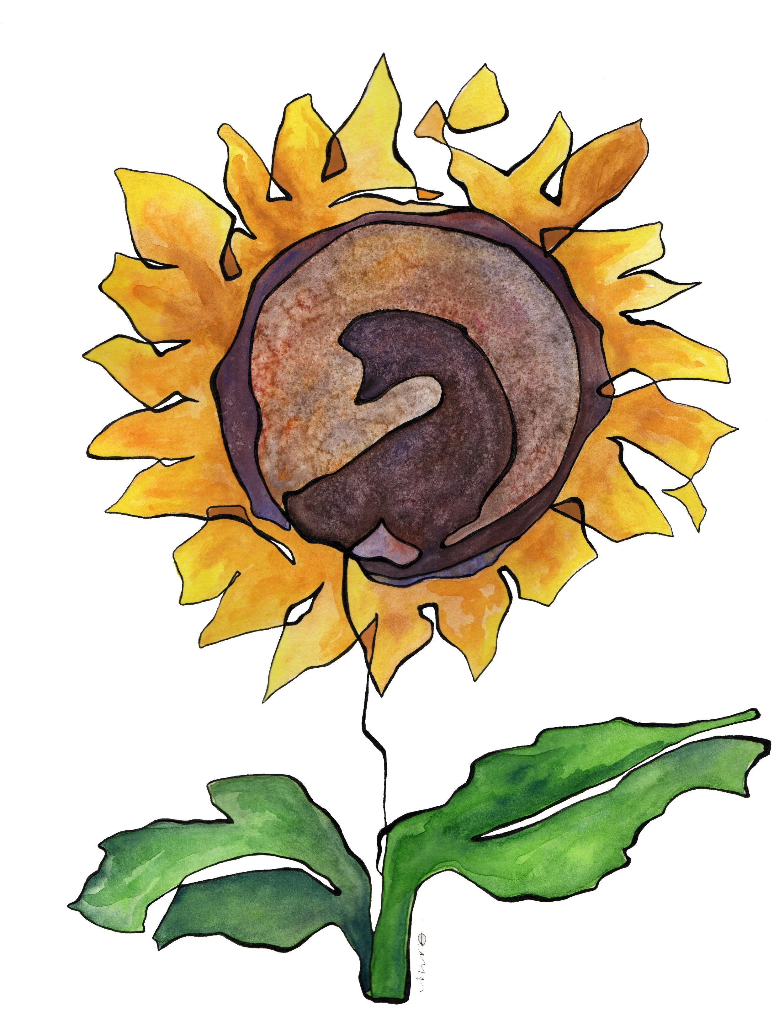 Sunflower.jpg
