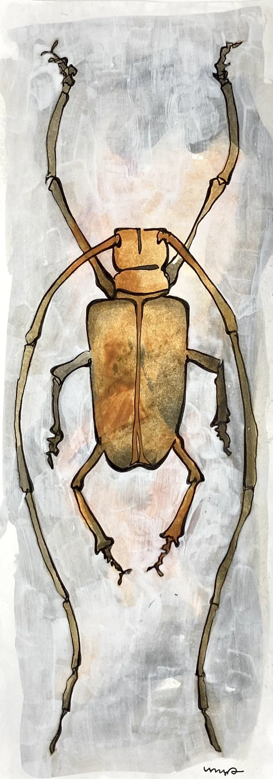 Megan Davies_Longhorn Beetle copy.JPG