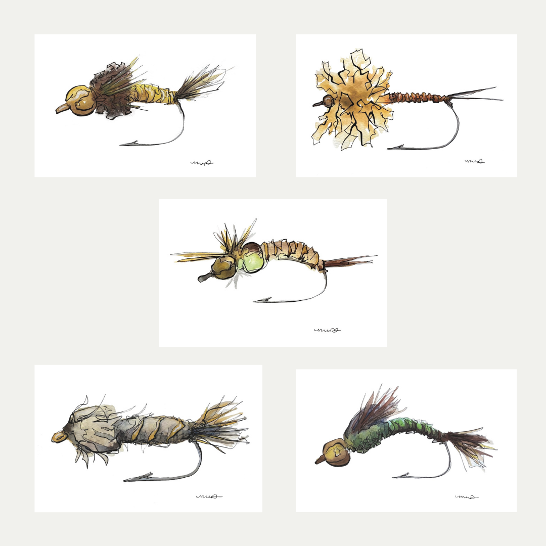 Fishing Fly Cards.png
