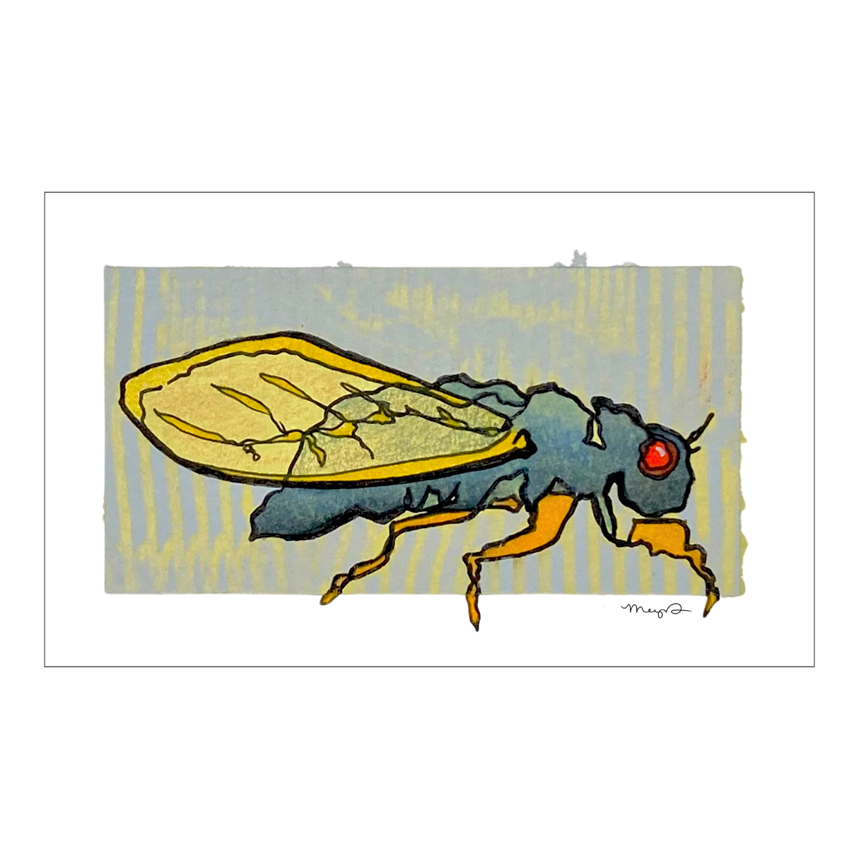 Cicada 1 - Square.png
