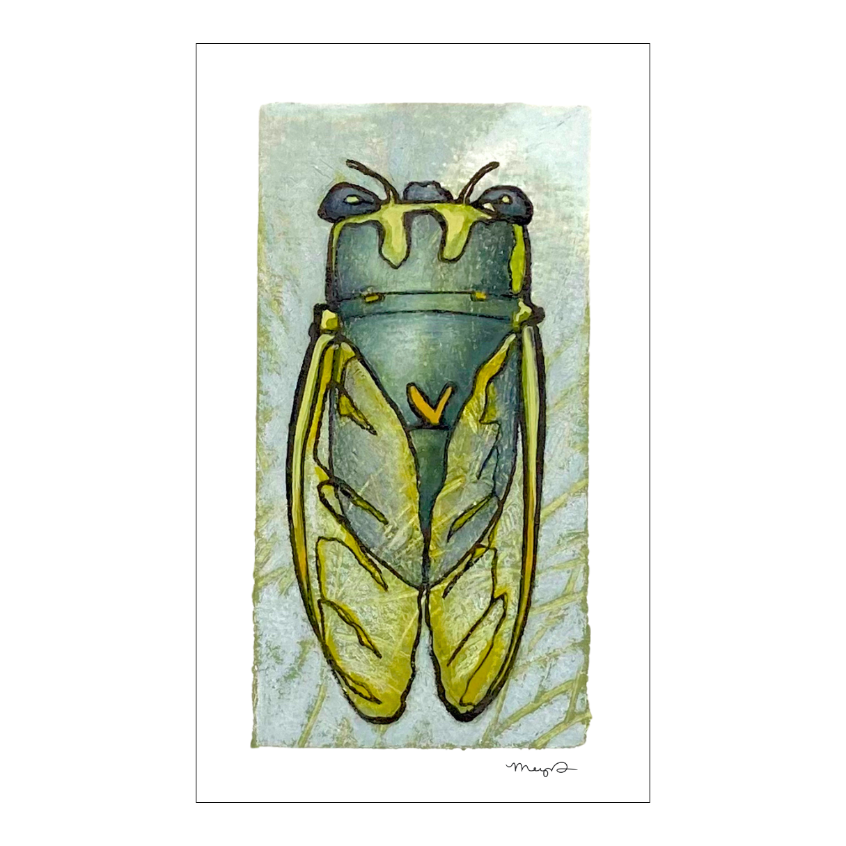 Cicada 2 - Square.png