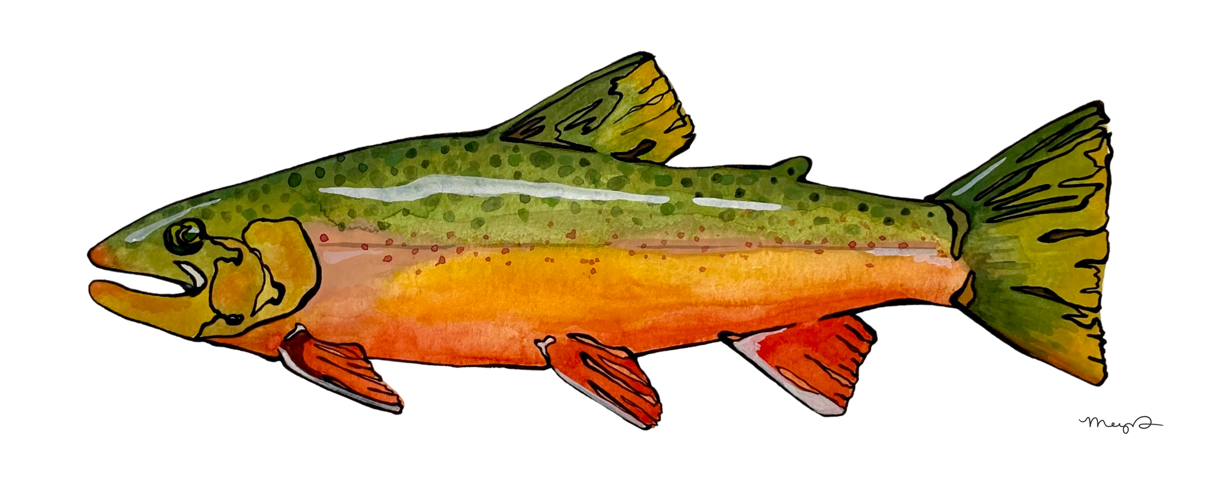 Arctic Char - 4 x 10 Print.png