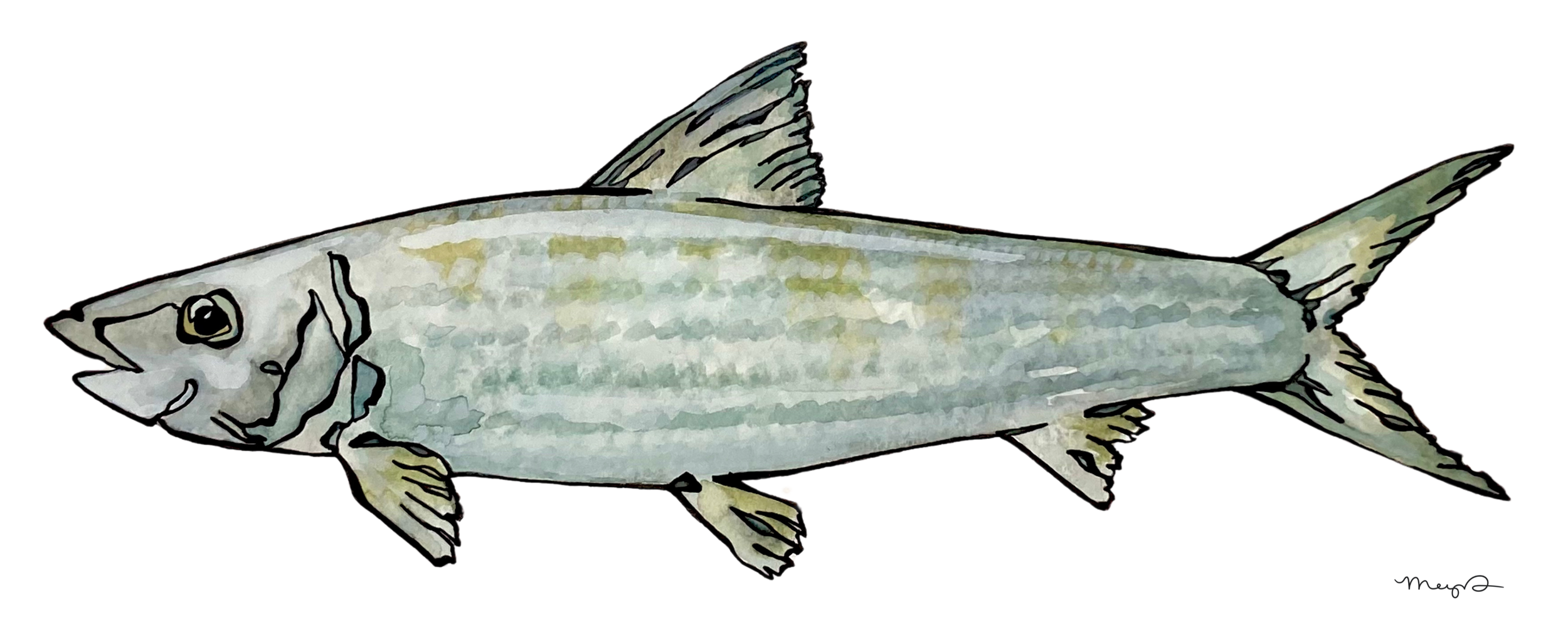 Bonefish 4 x 10 Print.png
