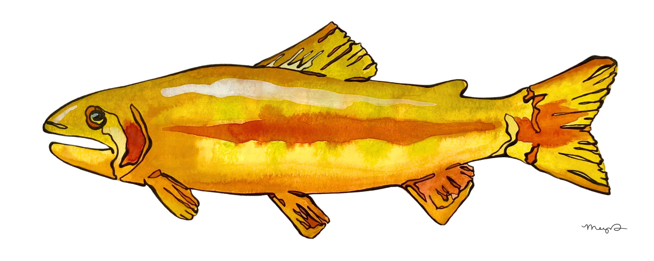 Golden Trout - 4 x 10 Print.png