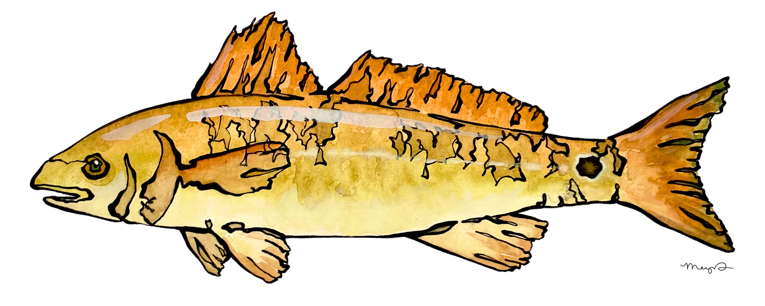 Red Fish - 4 x 10 Print.png