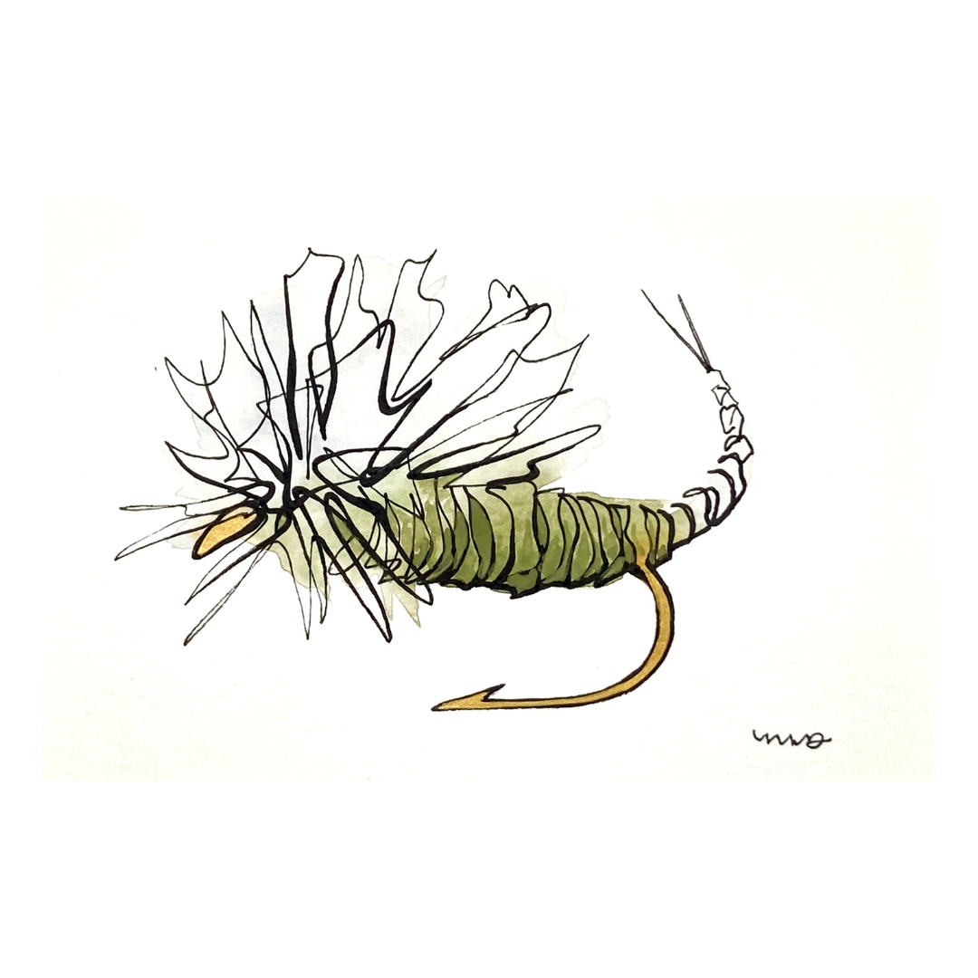 Gold Line Fly 12 Square.png