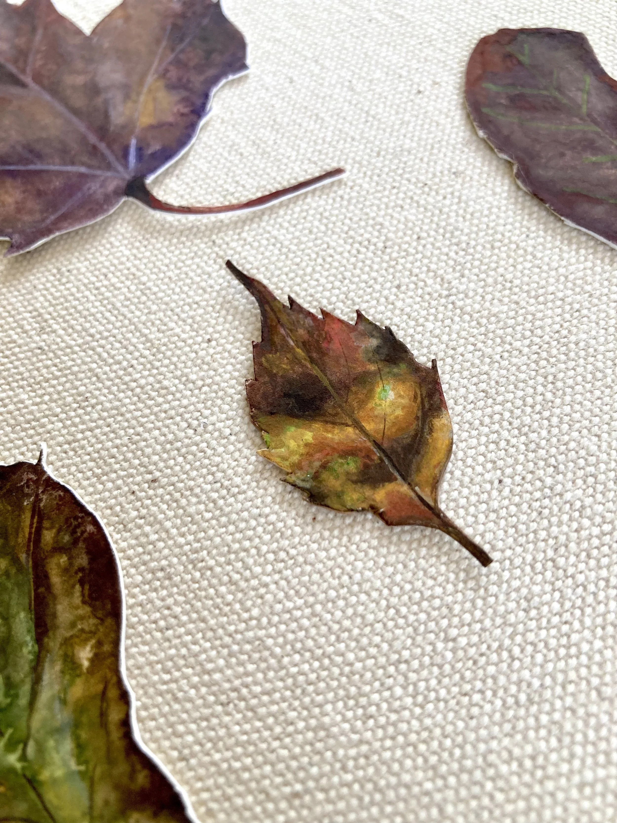 Leaves - Brown 4.jpg