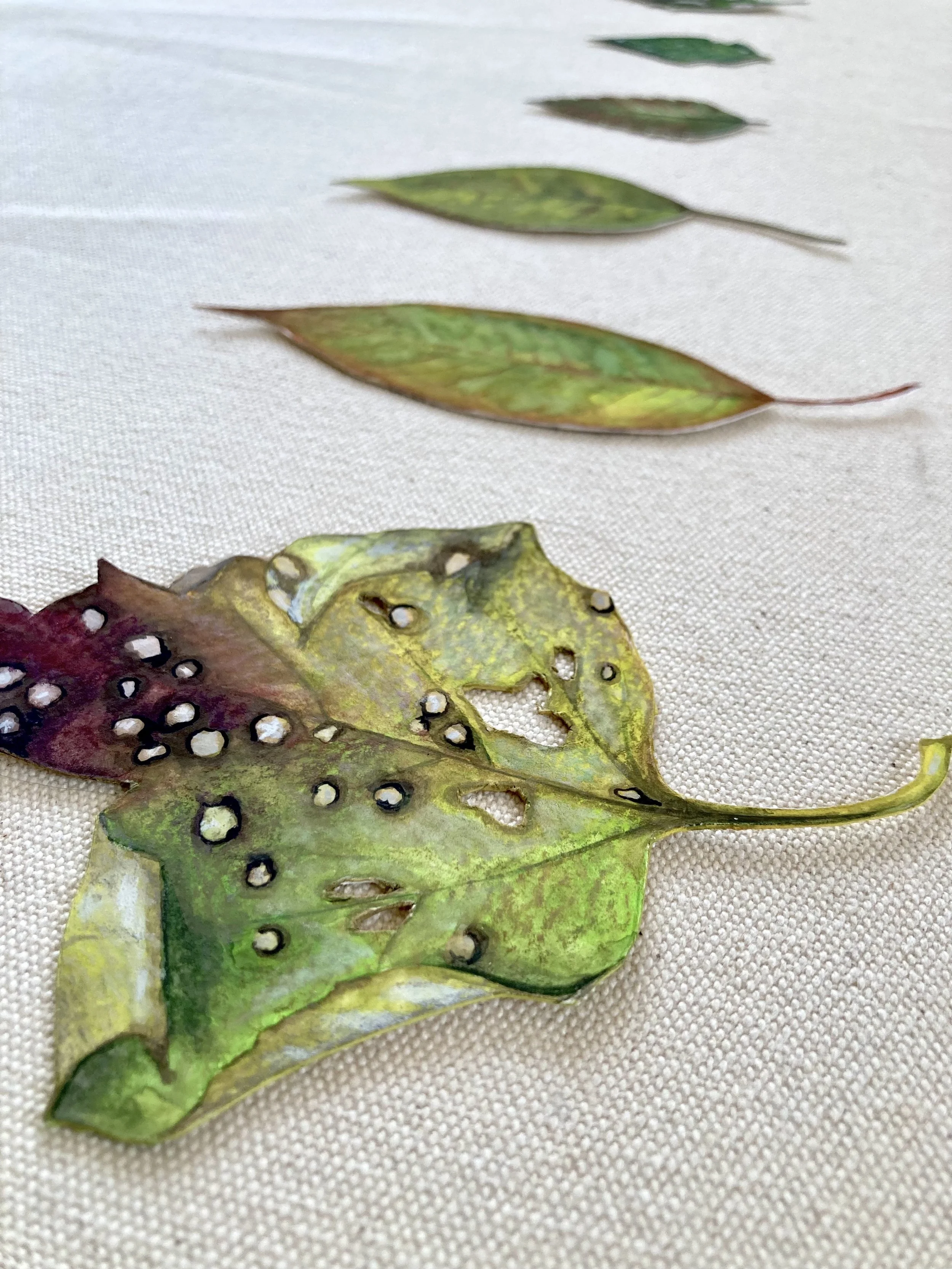 Leaves - Green 3.jpeg