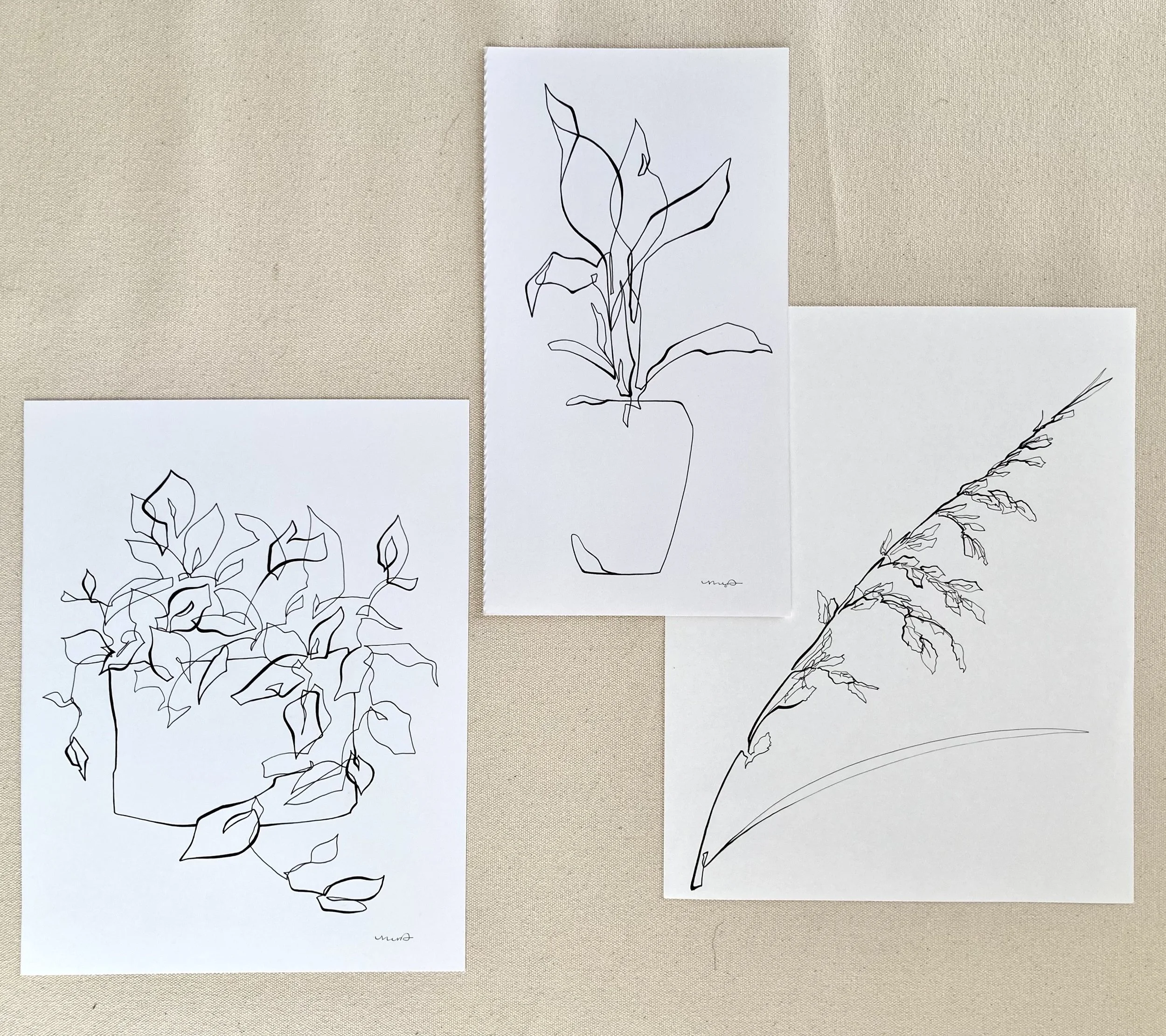 Black and White Floral Drawing Set (Large)