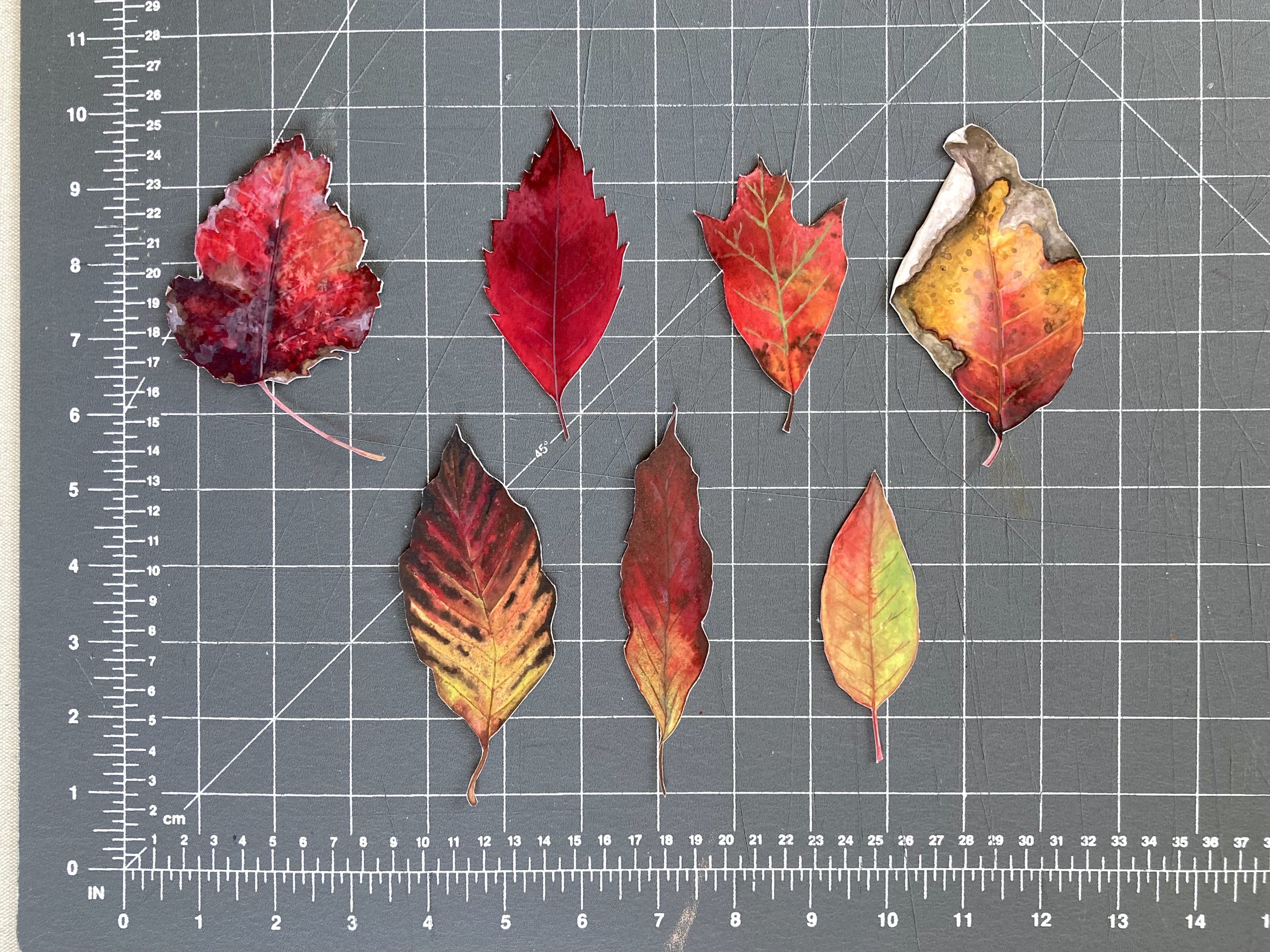 Leaves - Red 2.jpg