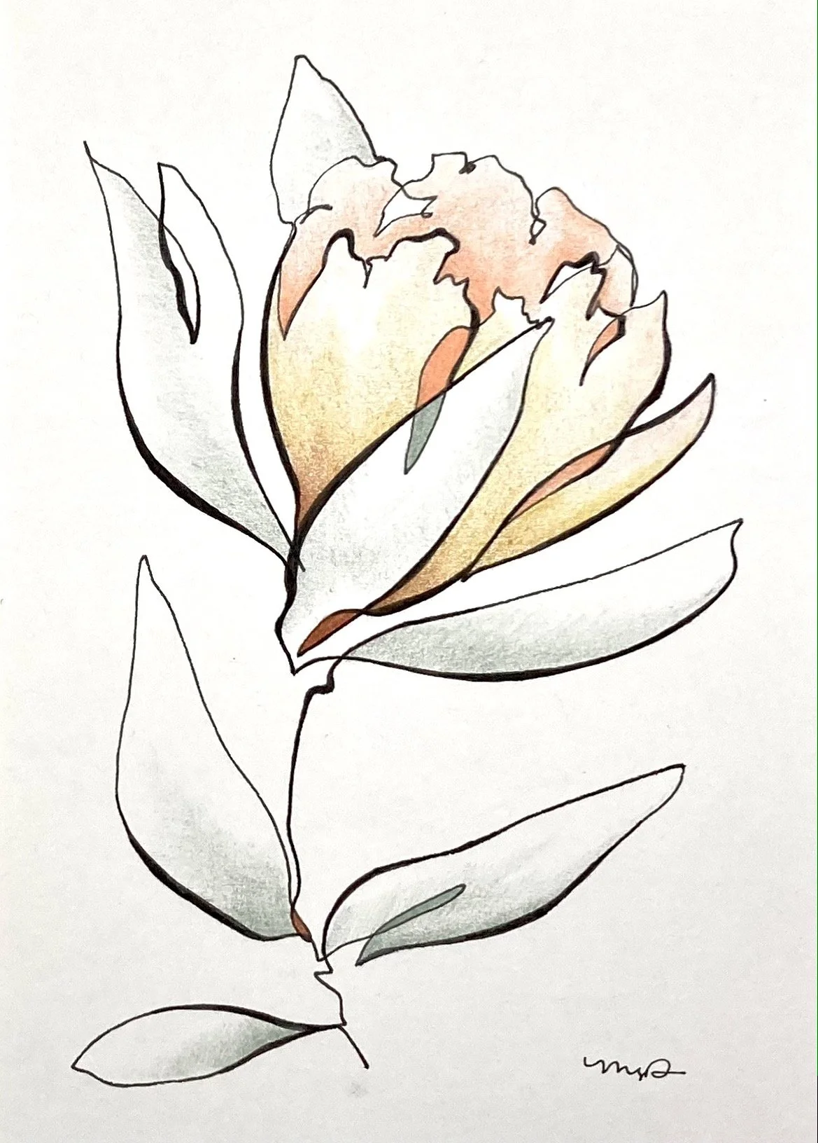 Protea Series No. 2.JPG