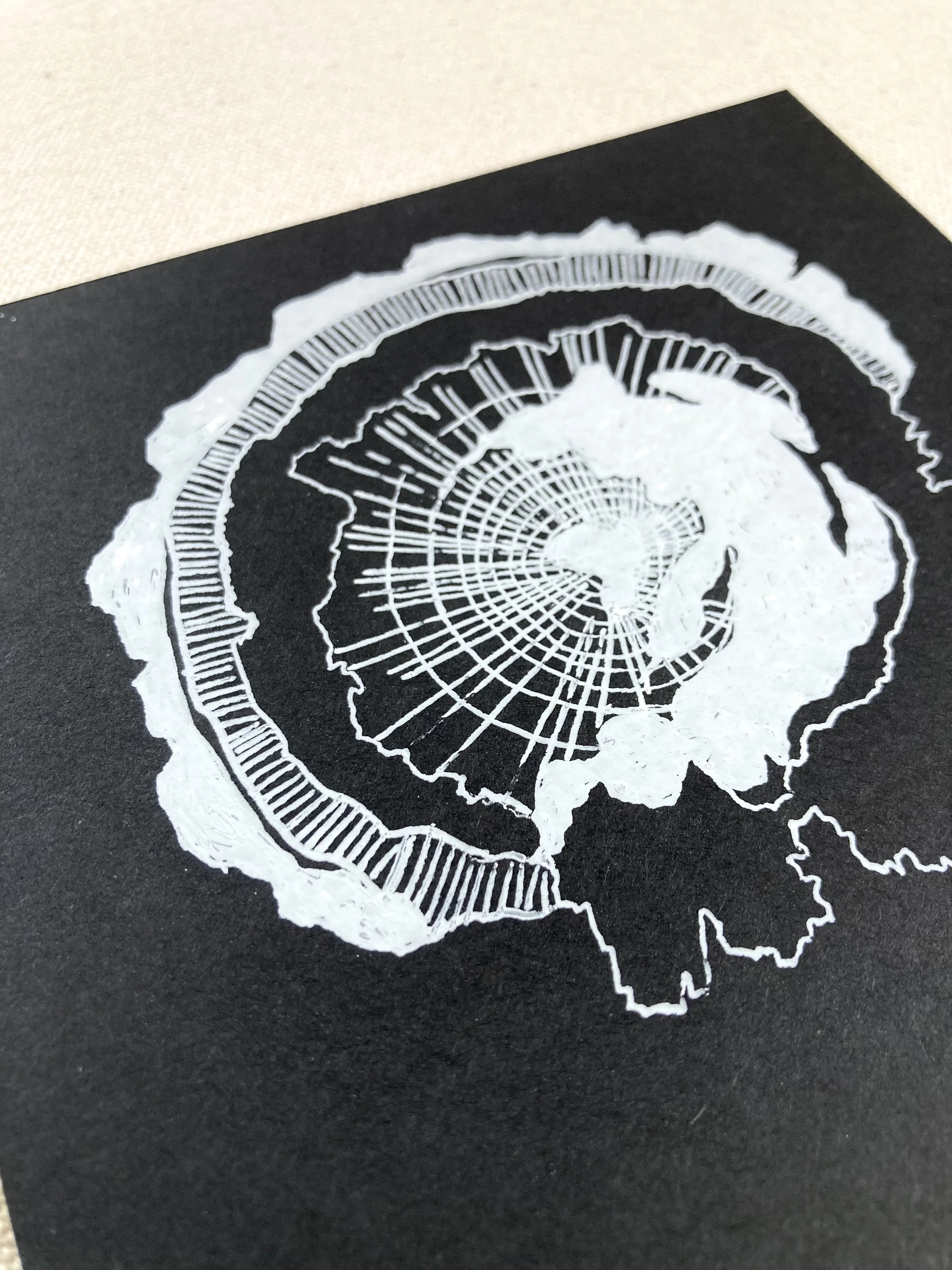 Black and White Woodgrain Detail.jpeg