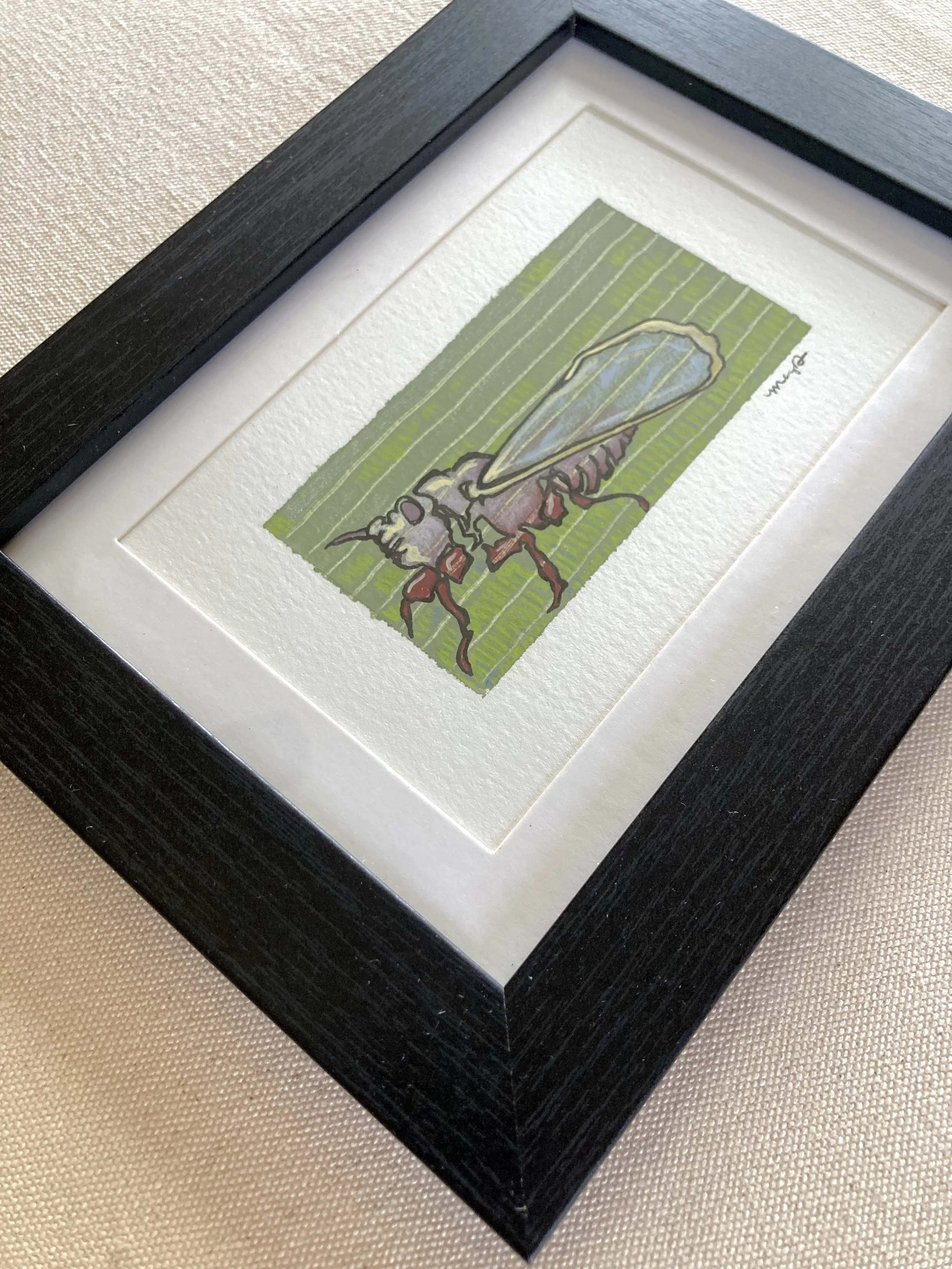 Brood Cicada - Framed.jpg